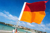 Bondi Beach