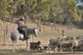 Aussie Farmstay &#x26; Bush Adventures